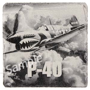 p-51 warbird coaster